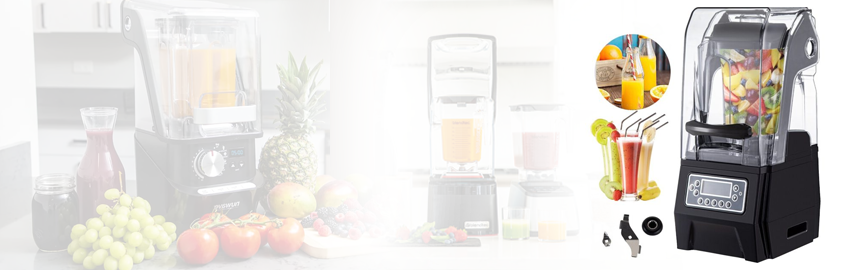 Commercial Smoothie Blender
